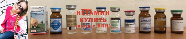 jwh Абаза